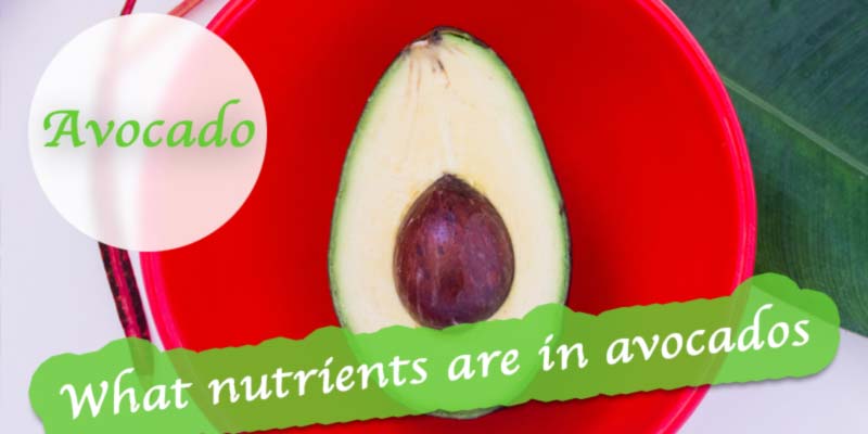 what nutrients are in avocados