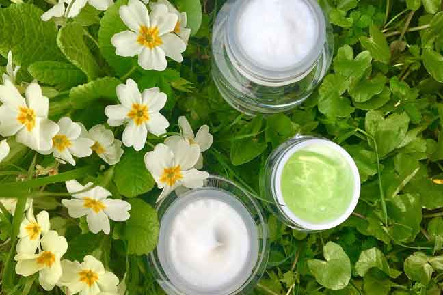 avocado face cream recipe